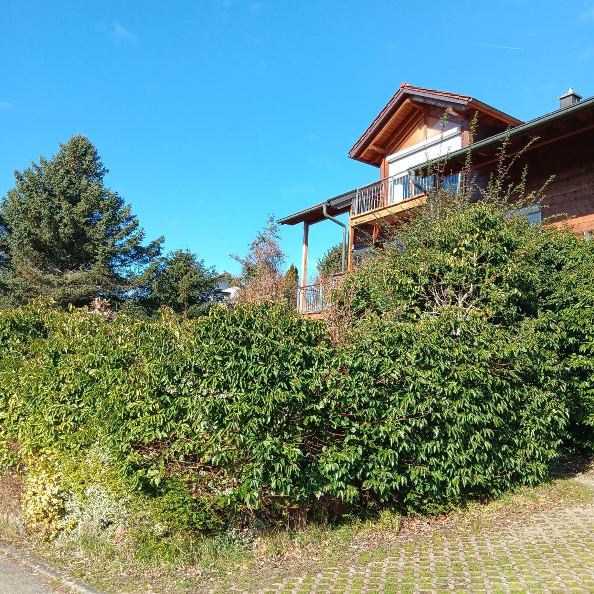 Gartenapartment Auf Der Hoeri In Wangen Ohningen Εξωτερικό φωτογραφία